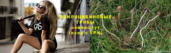 соль курить ск Заволжье