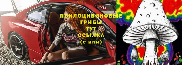 стафф Заволжск
