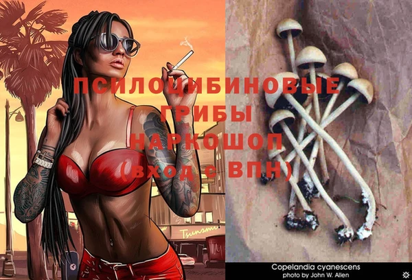 прущие крисы Зеленодольск