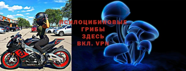 гашик Заводоуковск